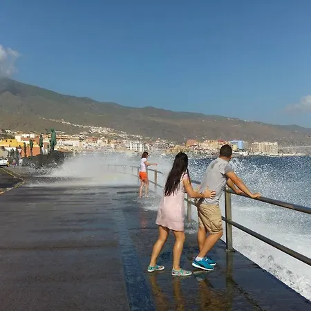 Guest house La Calma - Sea View - Private Spaces 100m *