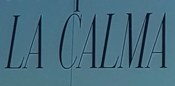 La Calma - Sea View - Private Spaces 100m *