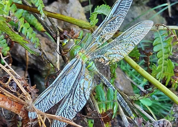 La Calma - Sea View - Private Spaces 100m Maison d'hôtes Candelaria