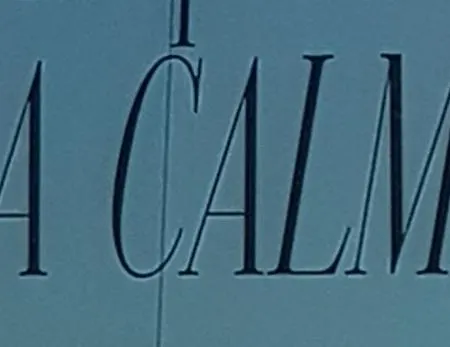 La Calma - Sea View - Private Spaces 100m *